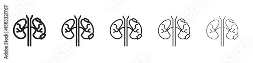 Kidney disease icon vector Art line Illustrations collection