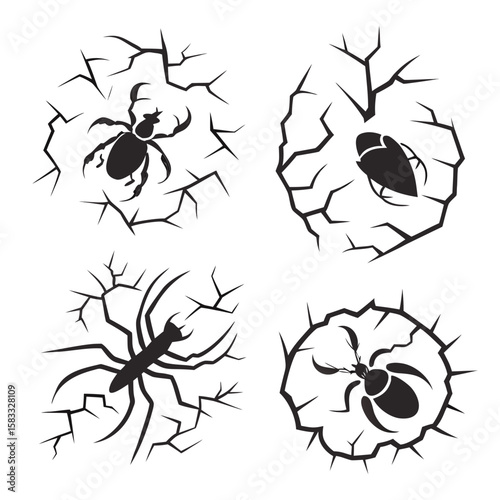 Spiders and beetle emerging from cracks insect arachnid