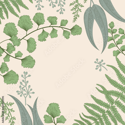 Vector flowers and herbs frame. Design for herbal tea, natural cosmetics, perfume, health care products, aromatherapy. With place for text. Organic. Fern