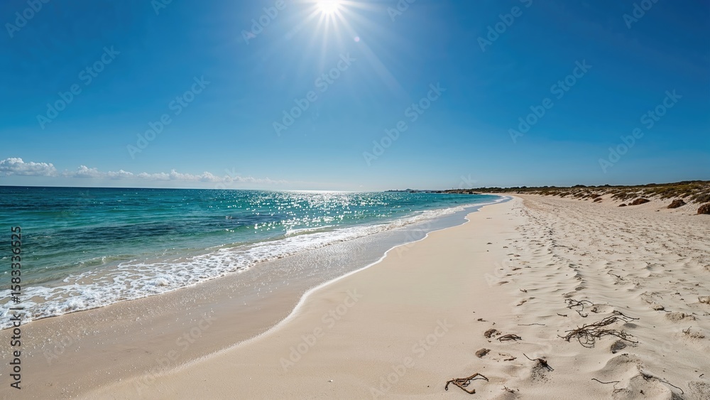 Fototapeta premium Unoccupied sandy coast during daylight