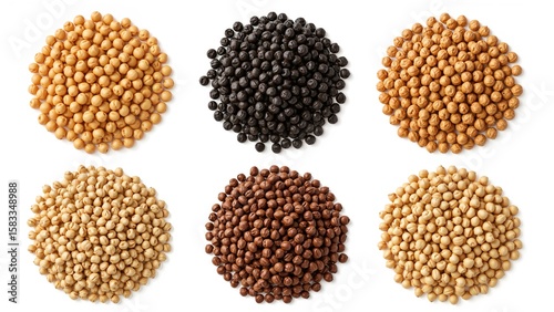 Different kinds of roasted and raw chickpeas including Kala Chana and Bengal Gram shown on white backgrounds