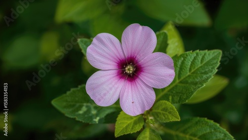 Artistic Representation of Forget-Me Bloom
