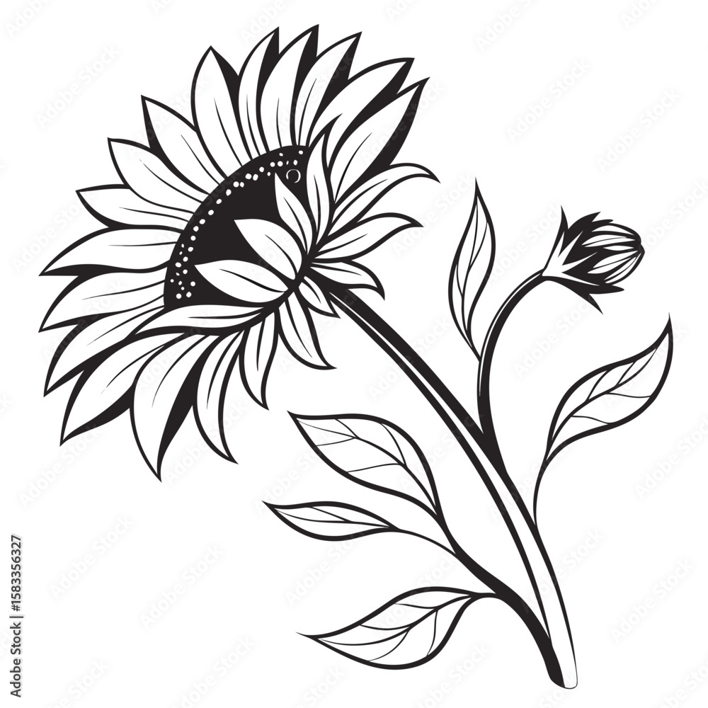 Fototapeta premium Vector art of a beautiful sunflower with leaves is isolated on white background