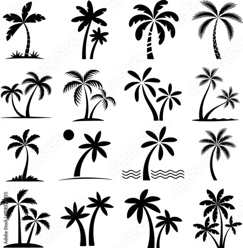 Collection of black palm tree silhouettes with varied frond and trunk styles tropical