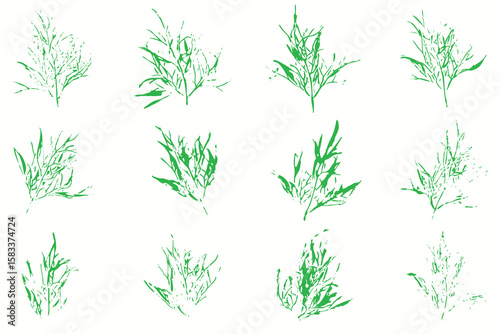 Natural dill tree leaves imprint, Grunge style, Vector, Isolated, Decorative elements for design	

