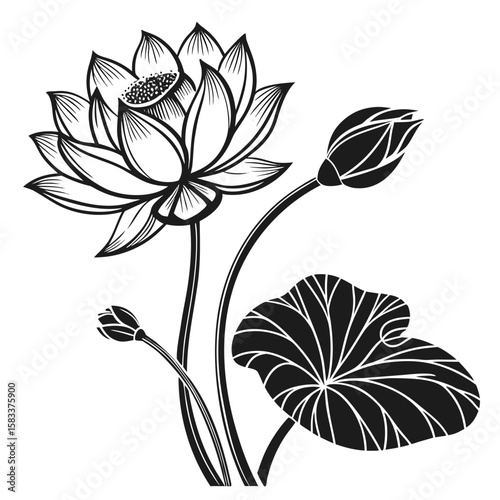 vector illustration of a flower