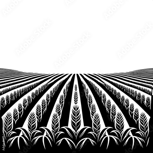 Black and White Vector Silhouette of a Farm Field with Crops