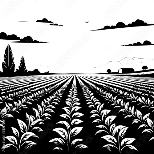 Black and White Vector Silhouette of a Farm Field with Crops