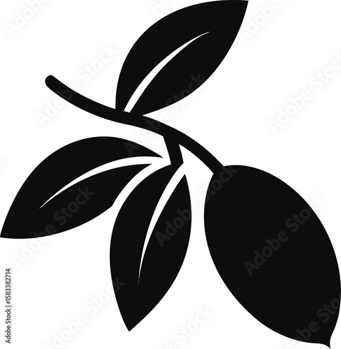 Green olive branch illustration with leaves, black olives, and a natural floral design