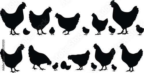 Silhouette illustration featuring adult hens, chicks, egg, and eggshell in a simple farm or chicken family pattern

