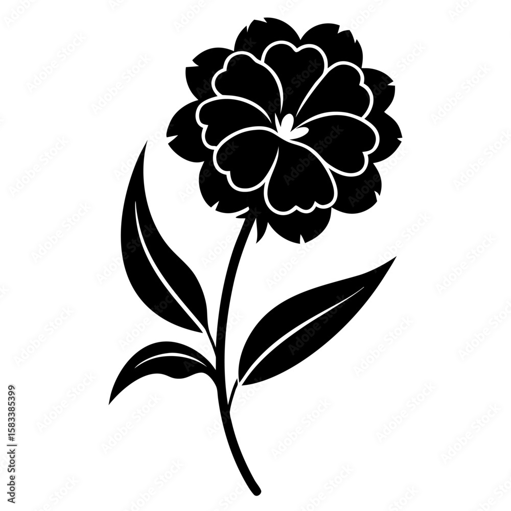 Obraz premium sweet william silhouette vector on-white-background