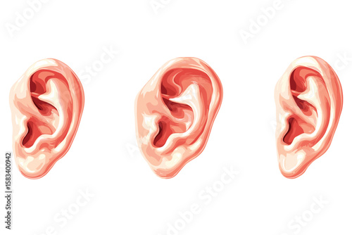 isometric set of human ears in different skin tones