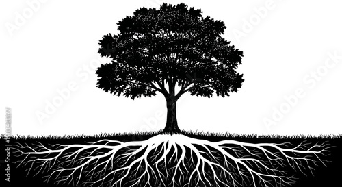 Black and White Silhouette of a Tree with Extensive Roots