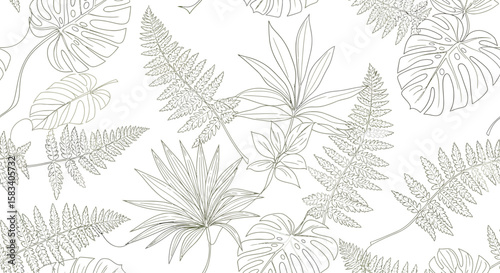 Detailed line art of tropical foliage Monstera fern and palm leaves.