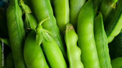 Vibrant green pea pods lie on a surface, creating a visually appealing display of fresh produce, emphasizing their natural color and texture. Fresh green peas displayed on a table