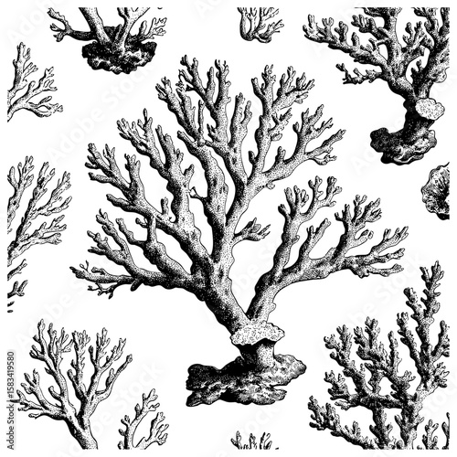 Retro coastal illustration, hand-drawn underwater pattern, engraved coral reef texture, vintage marine detail, antique ocean sketch, vector illustration, ocean wildlife design, marine biodiversity.