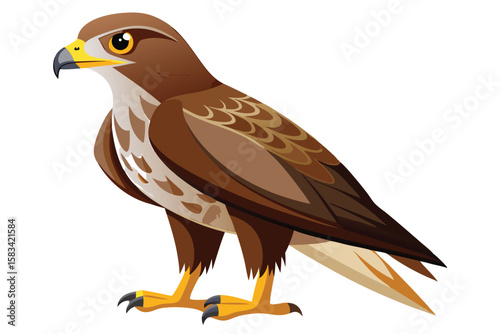 Detailed Cartoon Raptor Illustration A Majestic Bird of Prey with Sharp Talons and Piercing Gaze