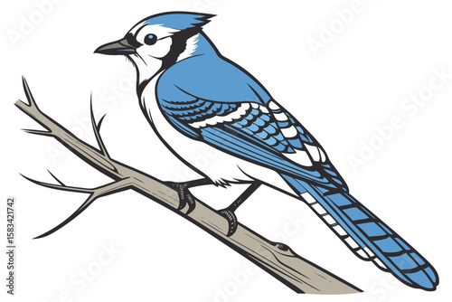 Vibrant Blue Jay Perched on a Bare Branch Graphic Illustration