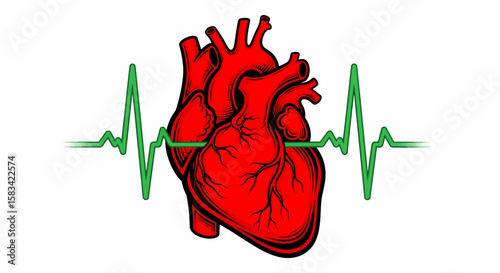 Stylized Red Heart with Black Outlines and Green Electrocardiogram Line.