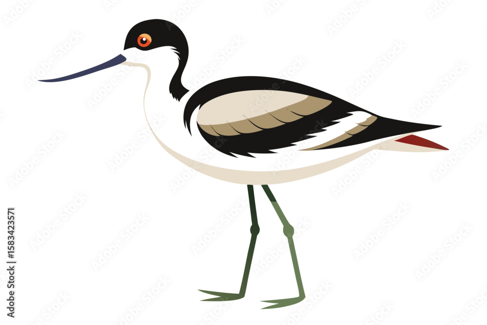 Obraz premium Striking Shorebird Illustration Elegant Black Necked Stilt with Elongated Bill and Graceful Legs