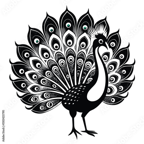 Majestic Peacock Displaying its Feathers A Symphony of Black and White Elegance