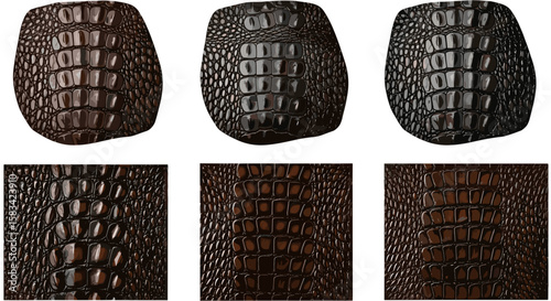 Different views of alligator skin textures in varying shades of brown and black on a white background