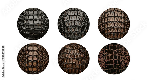 Collection of six oval shapes displaying various crocodile skin textures in different color variations