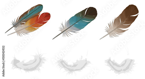 Illustration of three sets of feathers with different colors and shadow effects on a white background