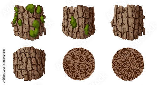 Illustration showing six different tree bark textures with mossy and patterned designs on a white background