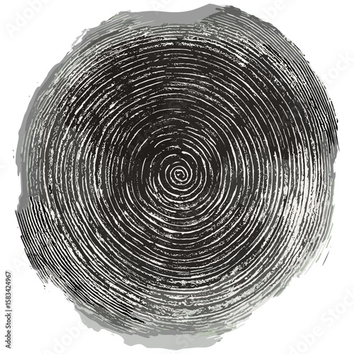 Engraved fingerprint swirl texture, vintage forensic etching, hand-drawn identity sketch pattern, antique biometric detail, retro illustration style, vector illustration, security concept.