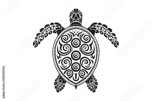 turtle design illustration vector