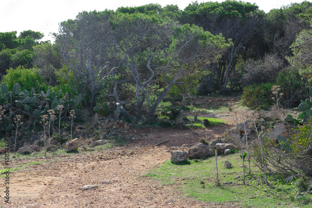 Fototapeta premium Nature 2000 area on Marfa Peninsula Malta.