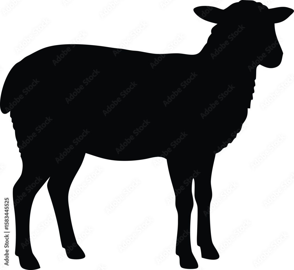 Obraz premium sheep, lamb silhouette vector illustration