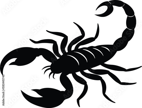 poisonous scorpion silhouette vector illustration