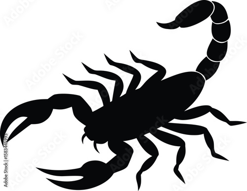 poisonous scorpion silhouette vector