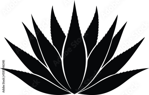 aloe vera plant icon, aloevera agave plant silhouette vector