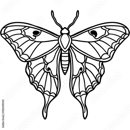 Atlas moth line art vector