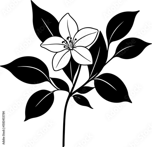 Black and white floral illustration: a delicate blossom with bold leaves, ideal for botanical designs, elegant branding, natural product packaging, tattoo art, and sophisticated wedding stationery.