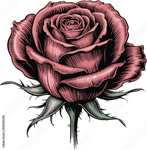 Dusty rose with green sepals and thorns flower pink