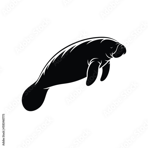 Manatee vector silhouette