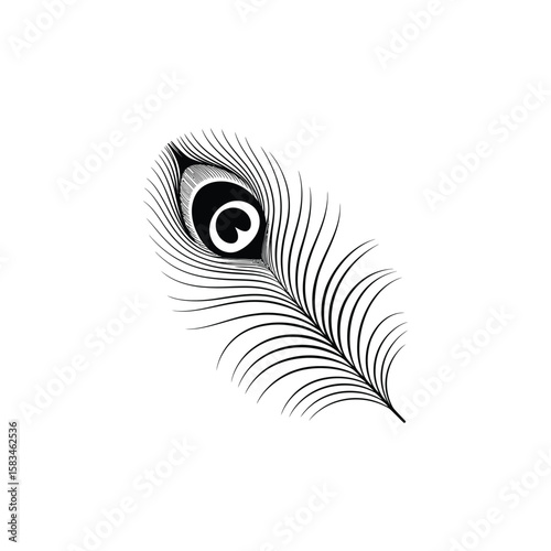 Peacock feather details vector silhouette