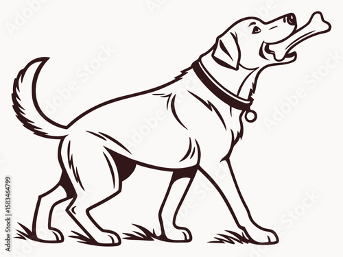 vector illustration of a dog