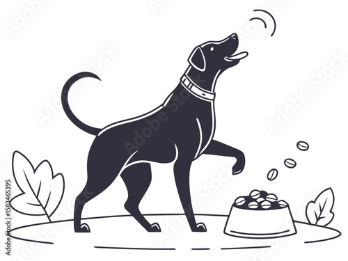 black cat and dog
