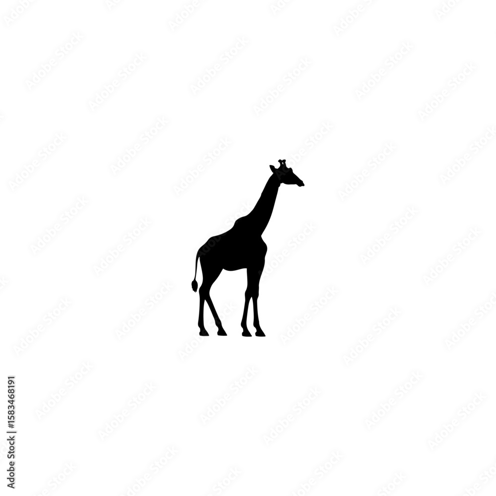 Obraz premium Giraffe silhouette