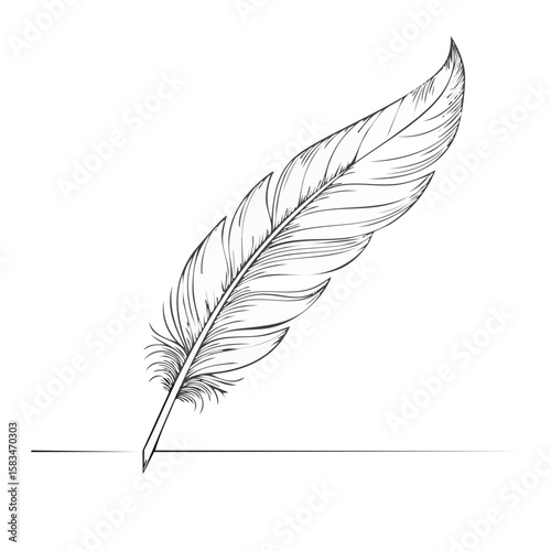 Elegant White Feather Quill Pen Illustration on Black Background Concept Design Element