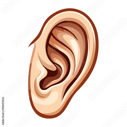 Isolated human ear illustration detailed anatomy auditory organ sense of hearing brown tones