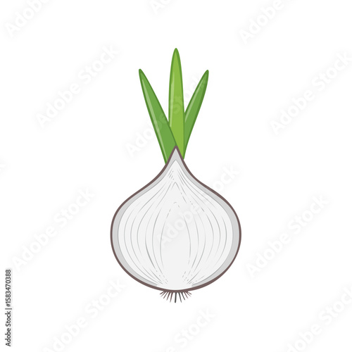 Isolated White Onion with Green Sprouts, Healthy Vegetable Ingredient, Cooking
