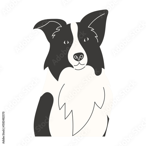 Border Collie Dog Portrait Half Body Flat Style Pet Illustration