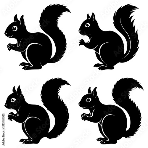 Four black squirrels in various poses with bushy tails against a white background design element