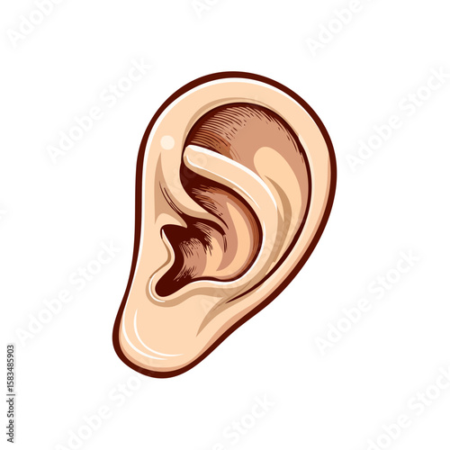 Ear illustration on black background for sound hearing or body part themes detailed drawing human anatomy